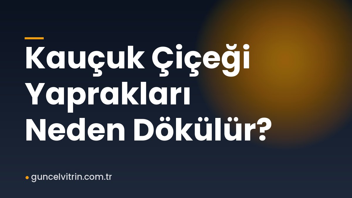 Kauçuk Çiçeği Yaprakları Neden Dökülür?
